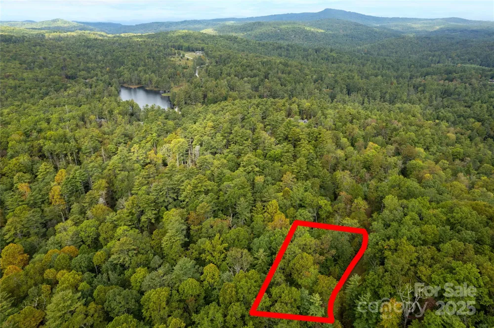 00 Beaumont Drive Cedar Mountain, NC 28718