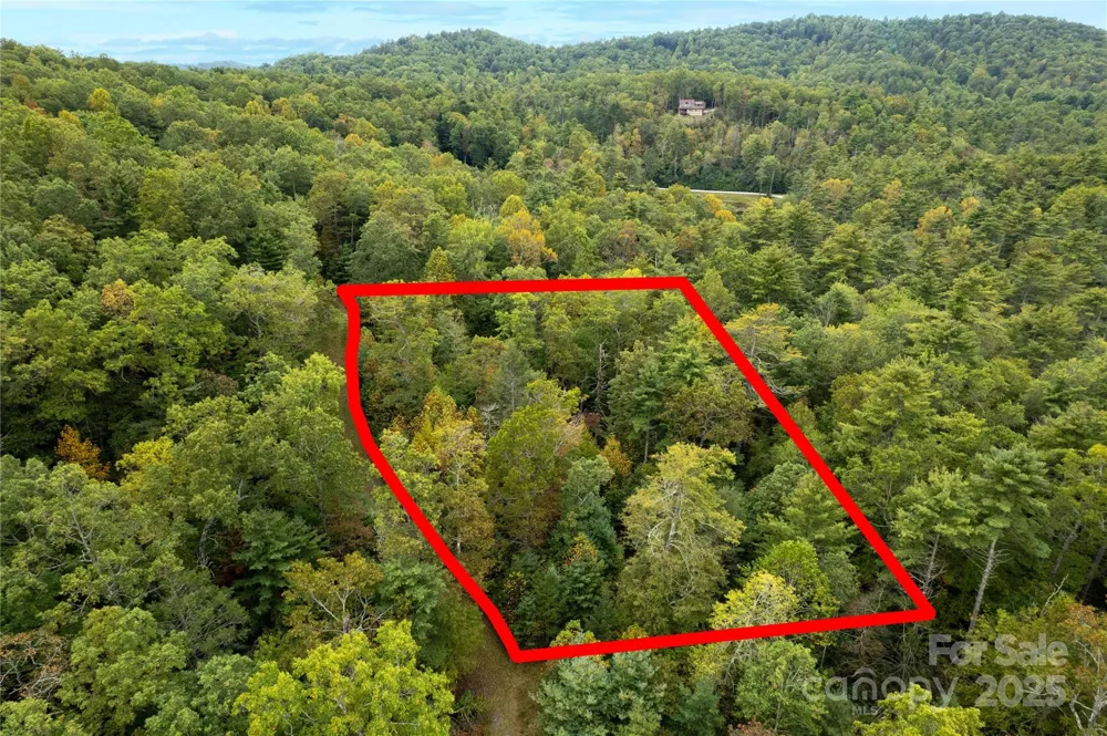 00 Beaumont Drive Cedar Mountain, NC 28718