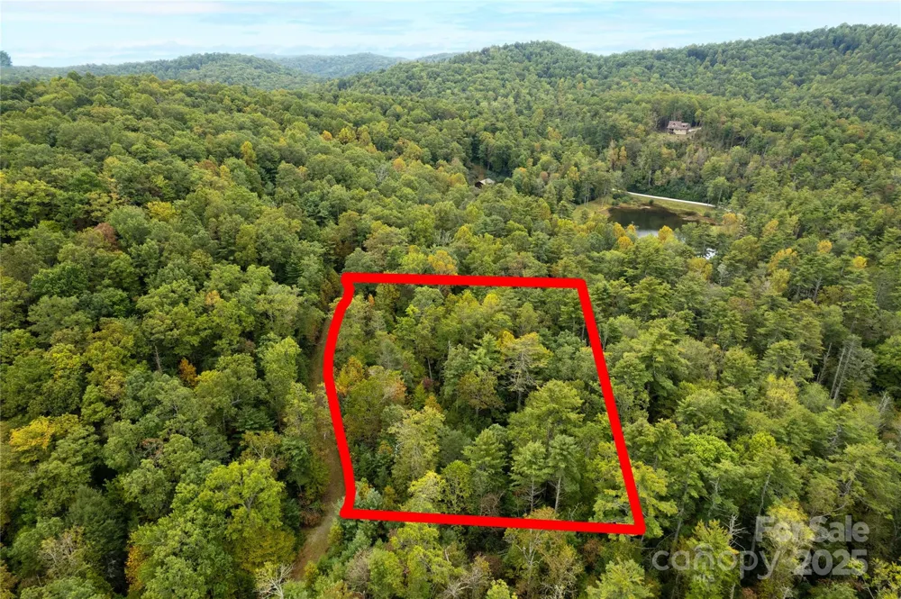 00 Beaumont Drive Cedar Mountain, NC 28718
