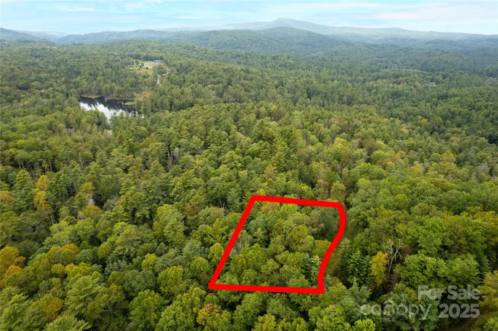 00 Beaumont Drive Cedar Mountain, NC 28718