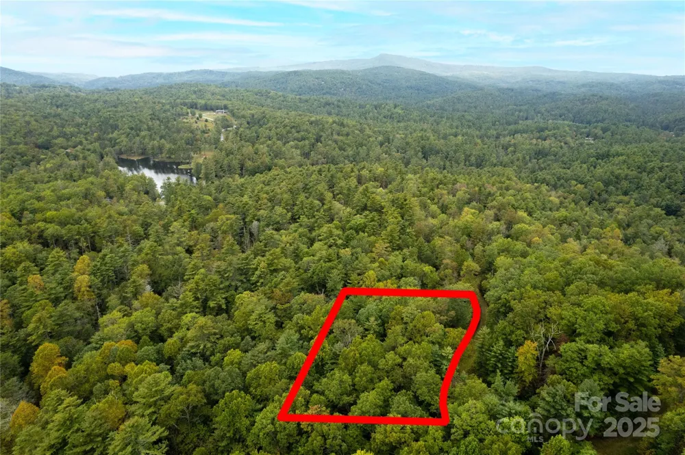 00 Beaumont Drive Cedar Mountain, NC 28718