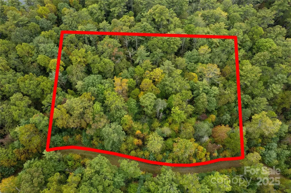 00 Beaumont Drive Cedar Mountain, NC 28718