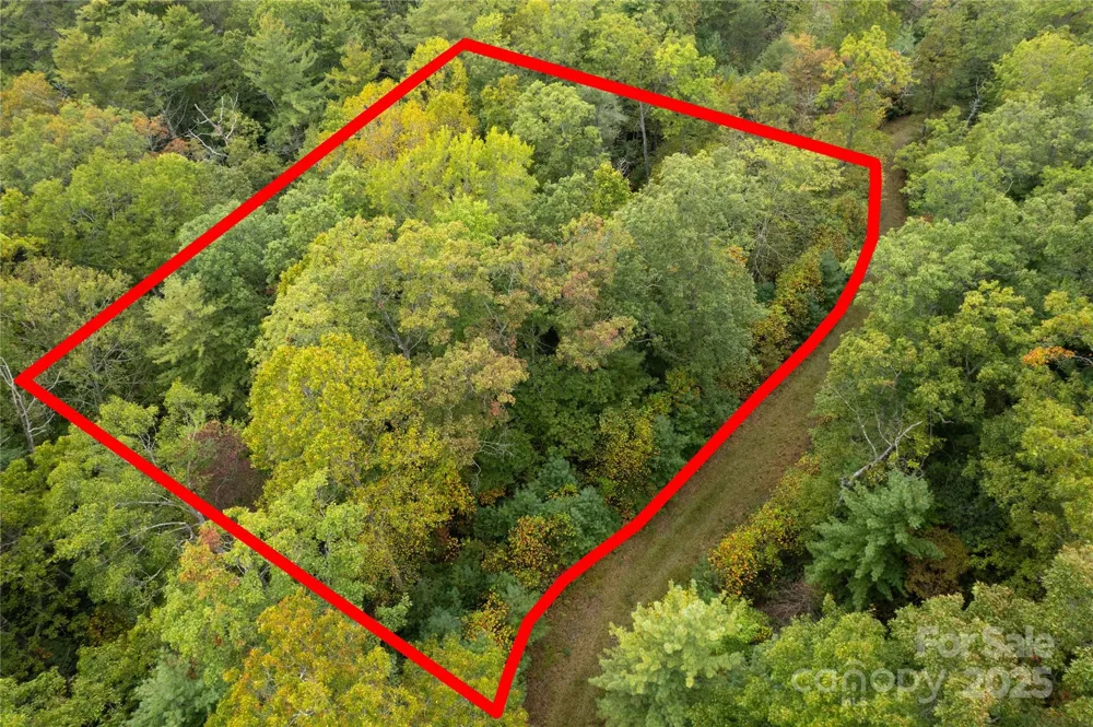 00 Beaumont Drive Cedar Mountain, NC 28718