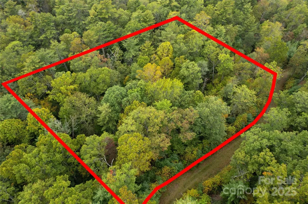 00 Beaumont Drive Cedar Mountain, NC 28718