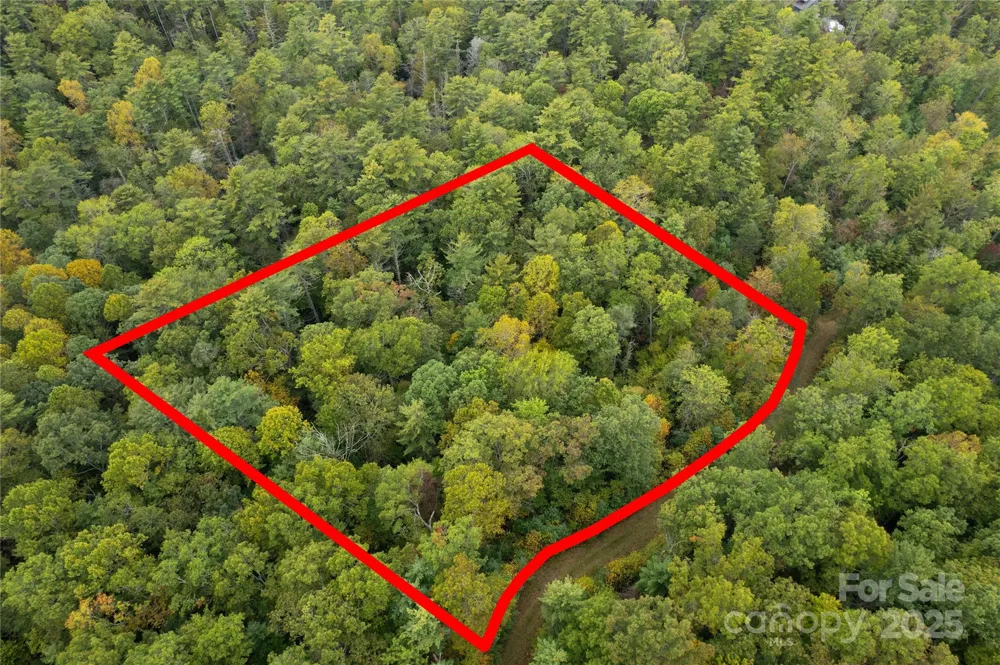 00 Beaumont Drive Cedar Mountain, NC 28718