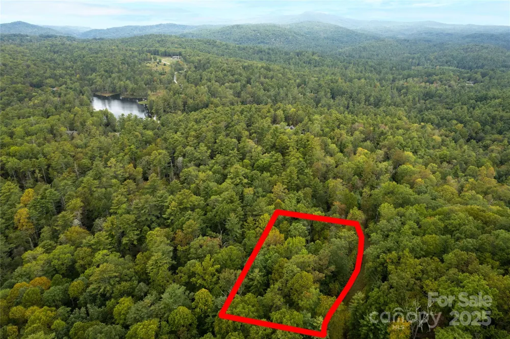 00 Beaumont Drive Cedar Mountain, NC 28718