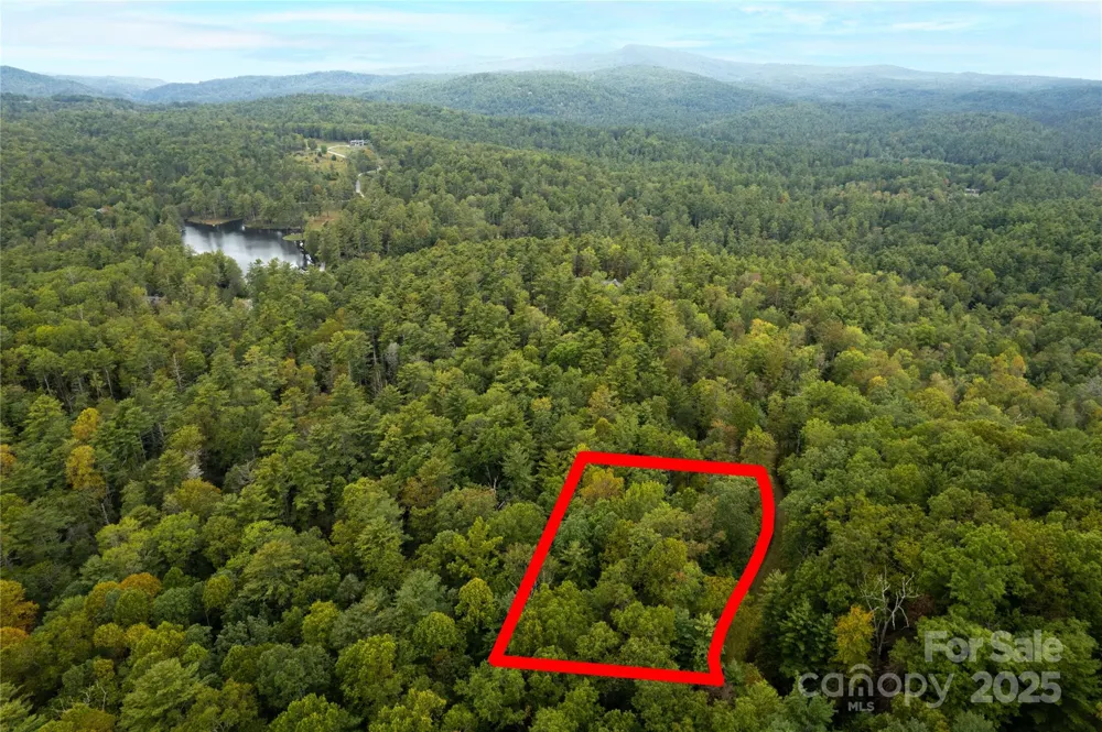 00 Beaumont Drive Cedar Mountain, NC 28718