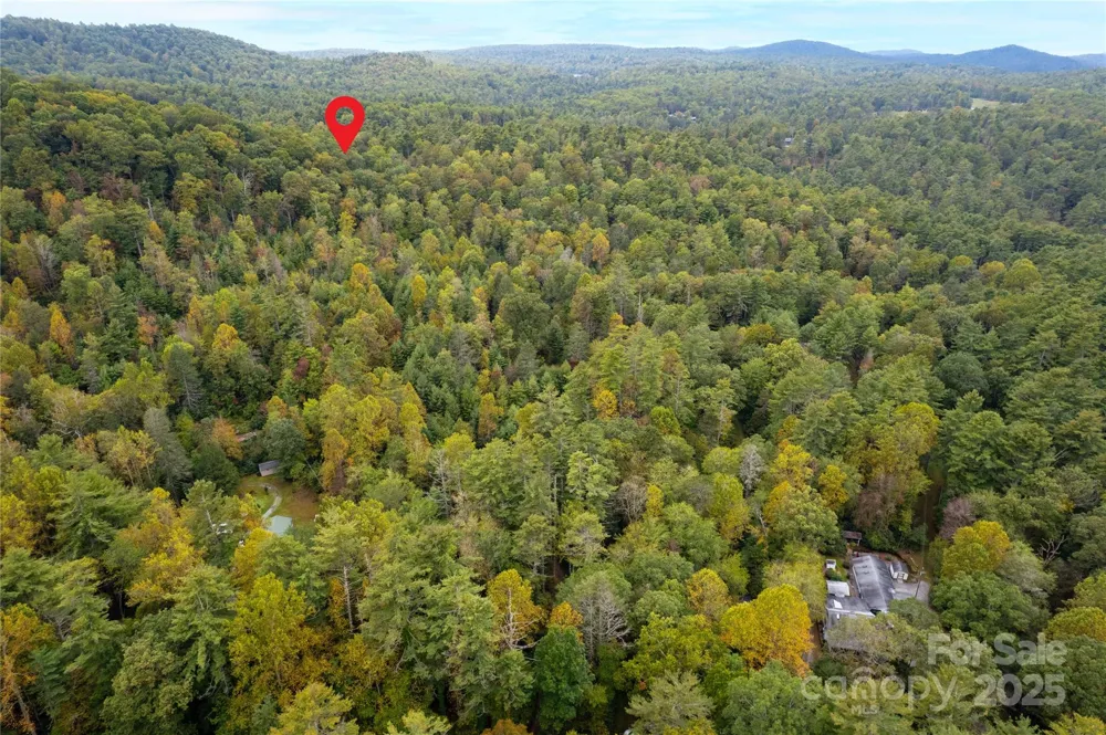 00 Beaumont Drive Cedar Mountain, NC 28718