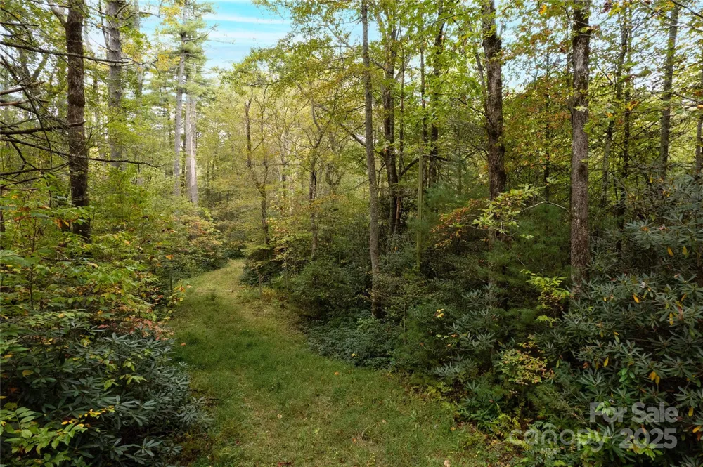 00 Beaumont Drive Cedar Mountain, NC 28718