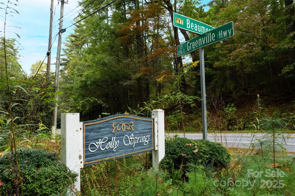 00 Beaumont Drive Cedar Mountain, NC 28718