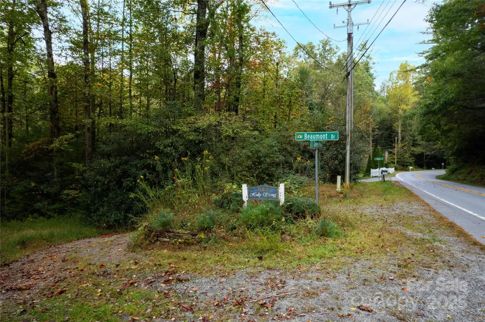 00 Beaumont Drive Cedar Mountain, NC 28718