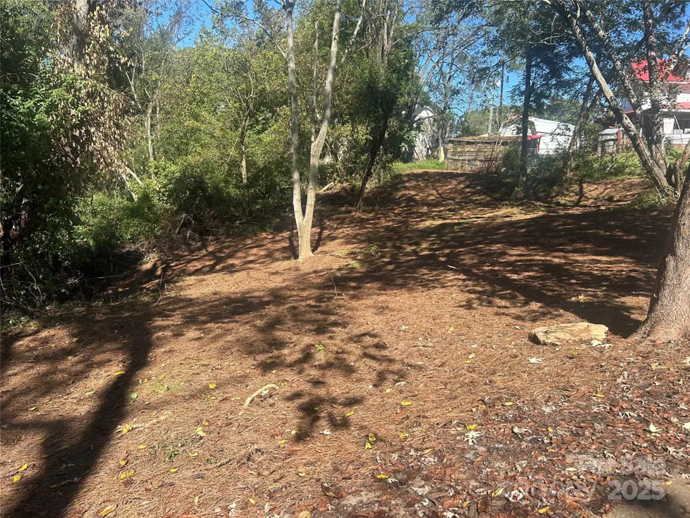 1 View Street #5, Portion 3 Woodfin, NC 28804
