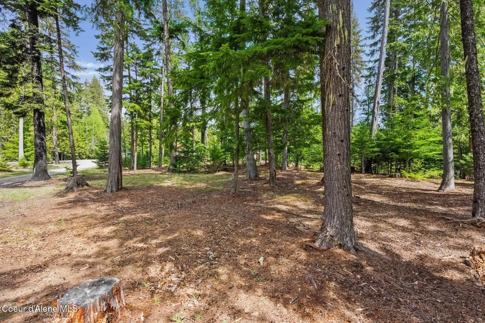 Lot 28 Bruin Road Nordman, ID 83848