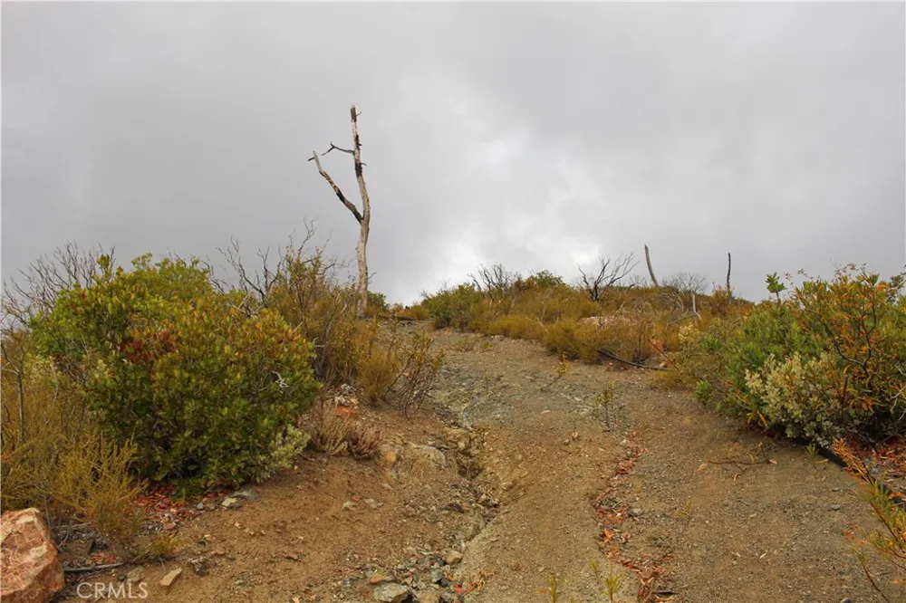8740 Rocky Creek rd Lower Lake, CA 95457