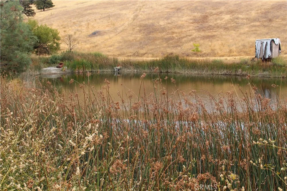 8740 Rocky Creek rd Lower Lake, CA 95457