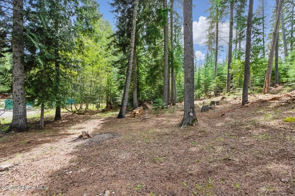 Lot 29 Bruin Road Nordman, ID 83848