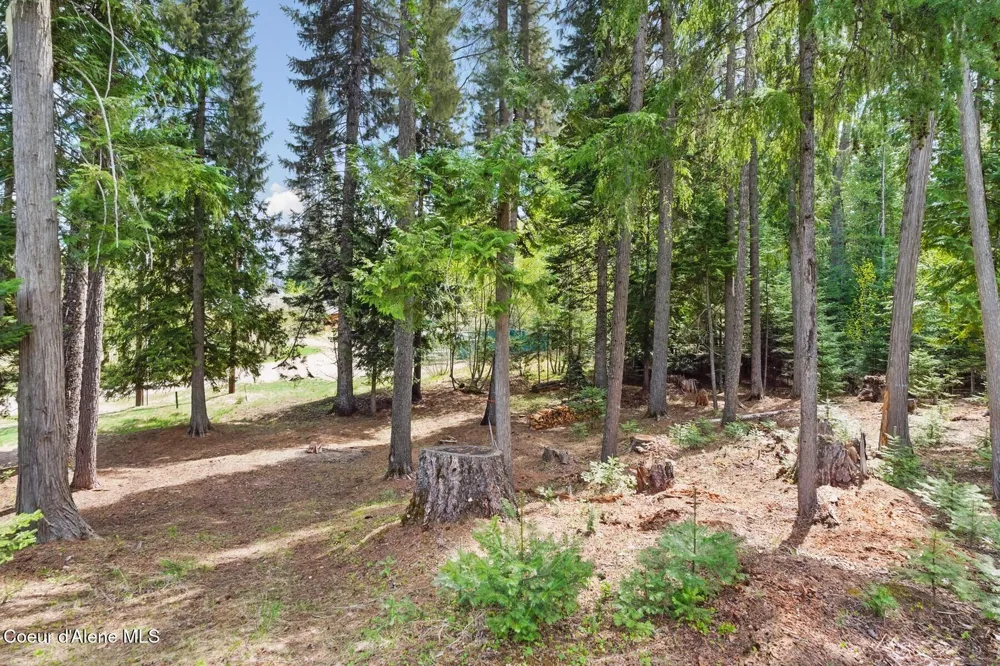 Lot 29 Bruin Road Nordman, ID 83848