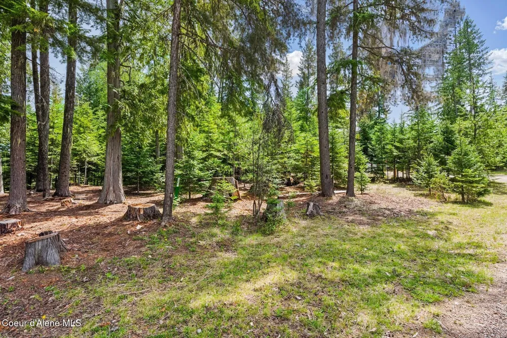 Lot 29 Bruin Road Nordman, ID 83848