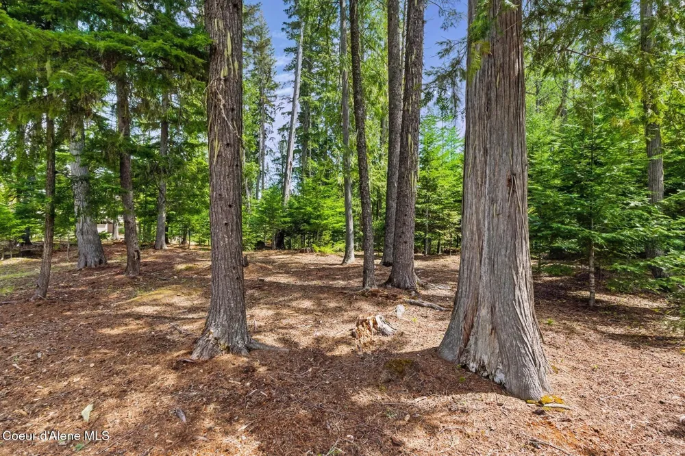 Lot 29 Bruin Road Nordman, ID 83848