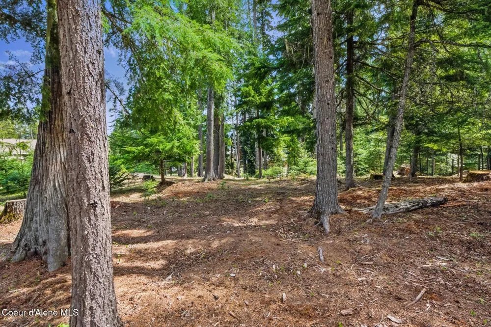 Lot 29 Bruin Road Nordman, ID 83848