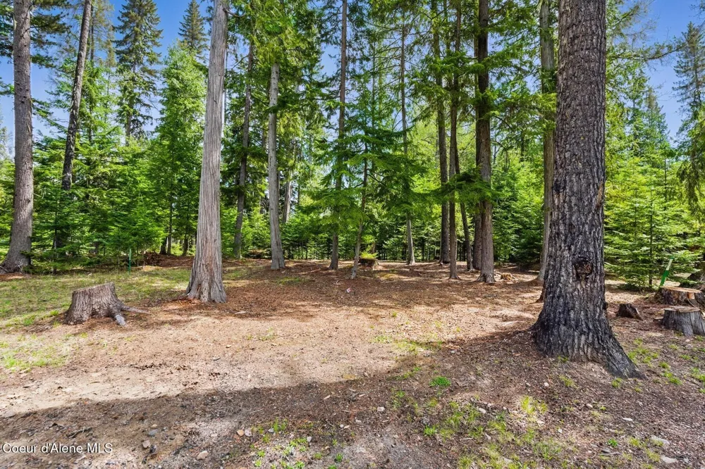 Lot 30 Bruin Road Nordman, ID 83848