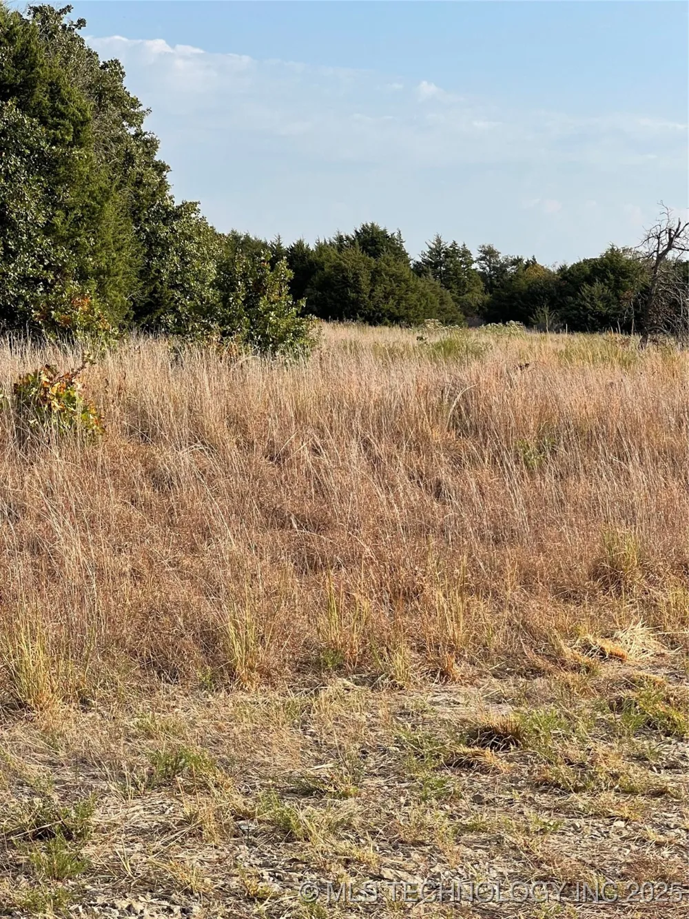 8004 W Jade Agra, OK 74824