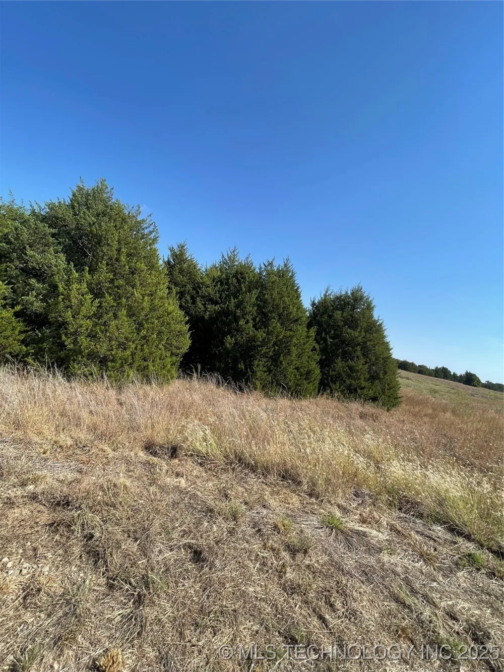 8006 W Jazz Agra, OK 74824