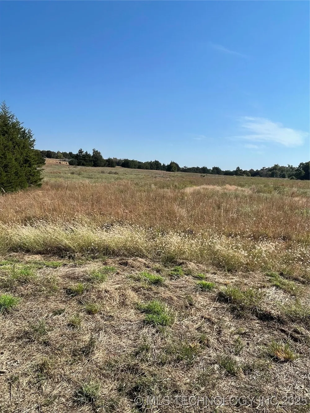 8007 W Jazz Agra, OK 74824