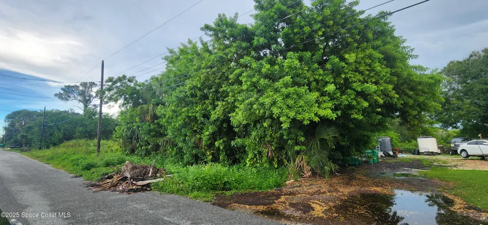 238 Lime Street Cocoa, FL 32926