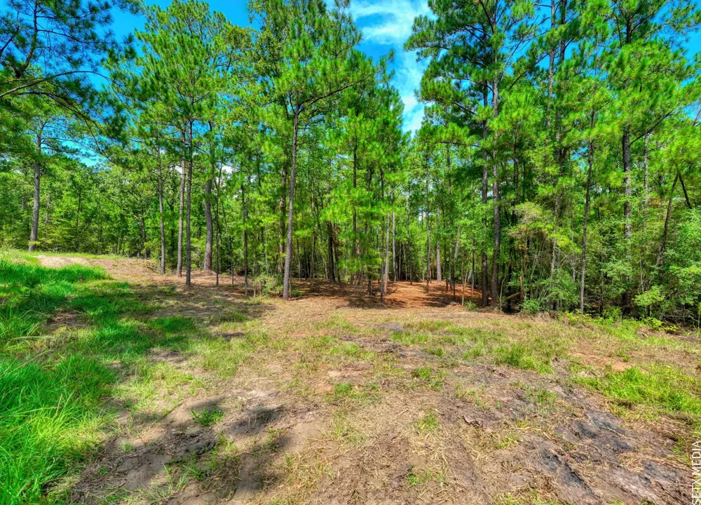 6566 Parkside Brookeland, TX 75931
