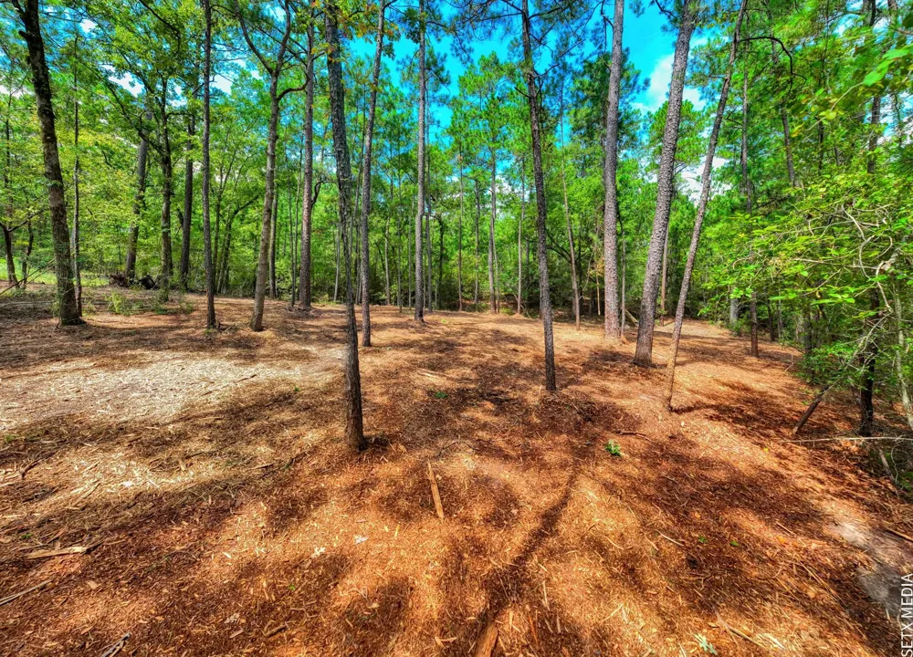 6566 Parkside Brookeland, TX 75931