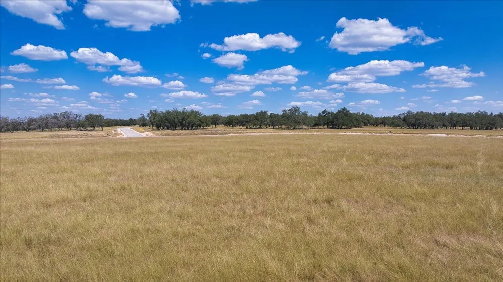 Confluence Drive Harper, TX 78631