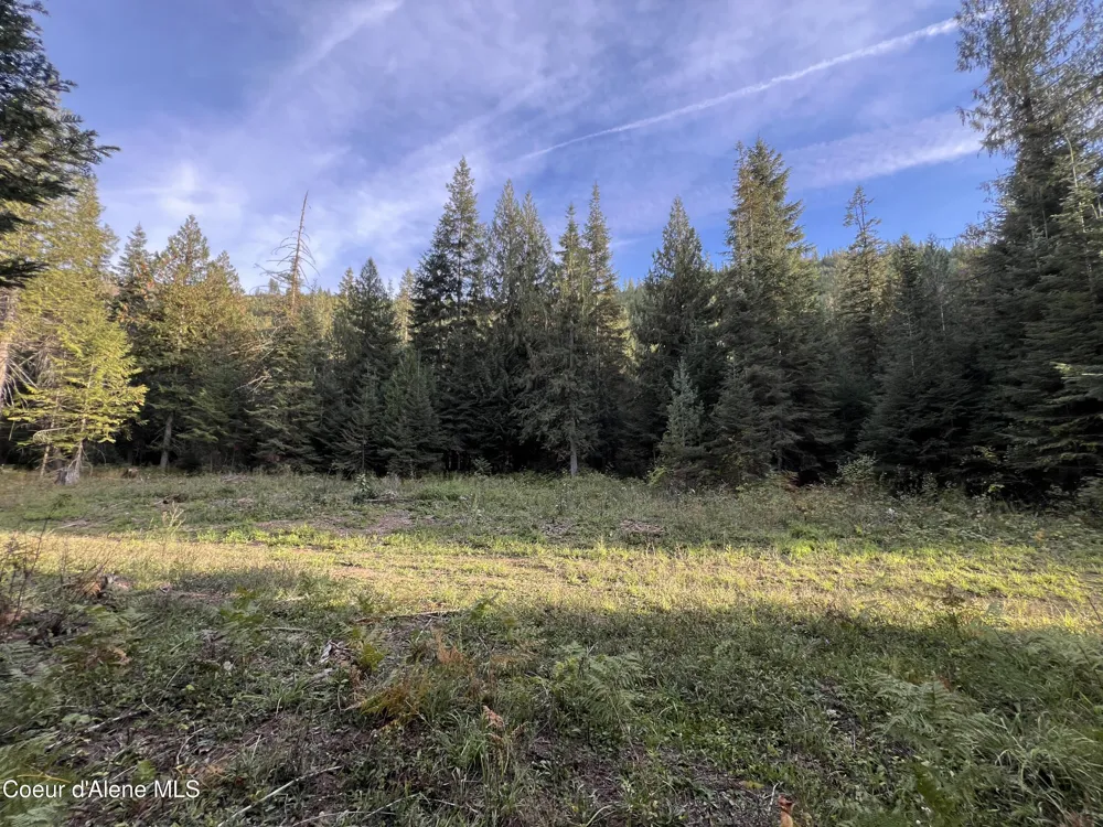 3579 Bear Creek Road Kingston, ID 83839