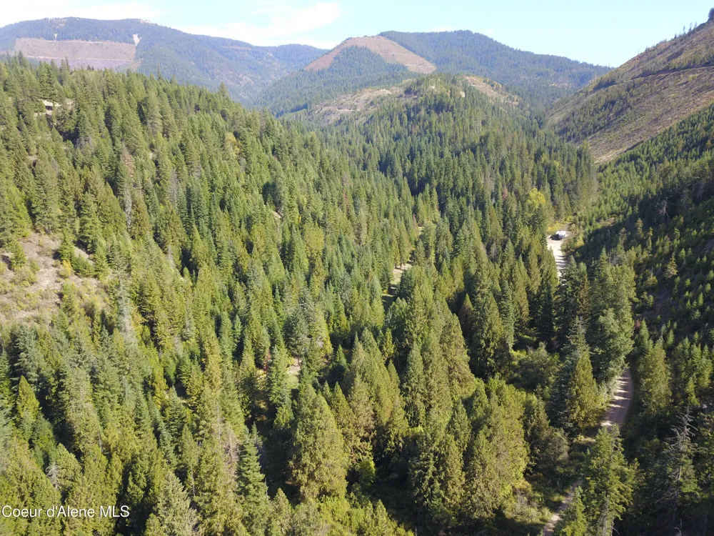 3579 Bear Creek Road Kingston, ID 83839