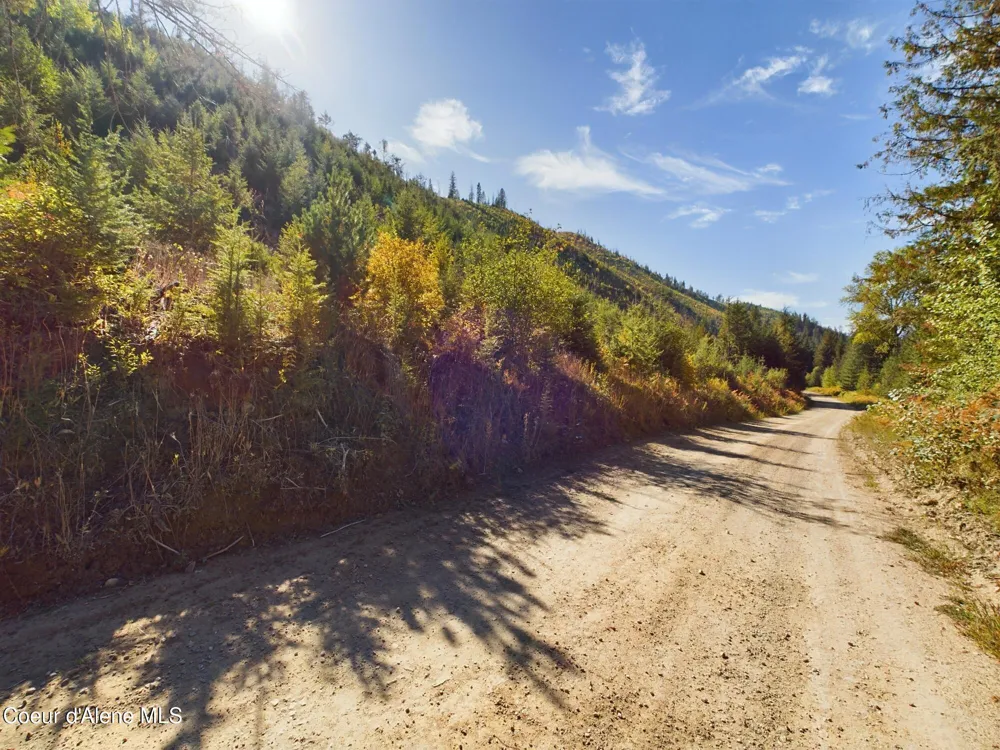 3579 Bear Creek Road Kingston, ID 83839
