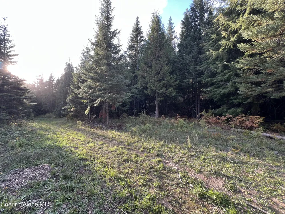 3579 Bear Creek Road Kingston, ID 83839