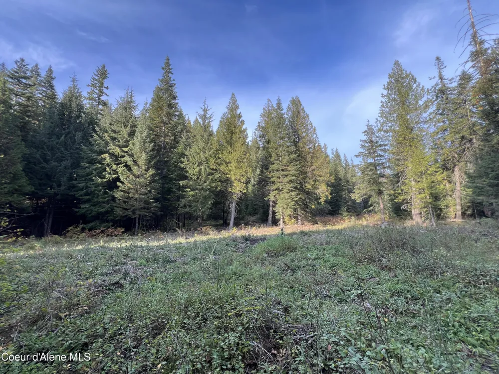 3579 Bear Creek Road Kingston, ID 83839