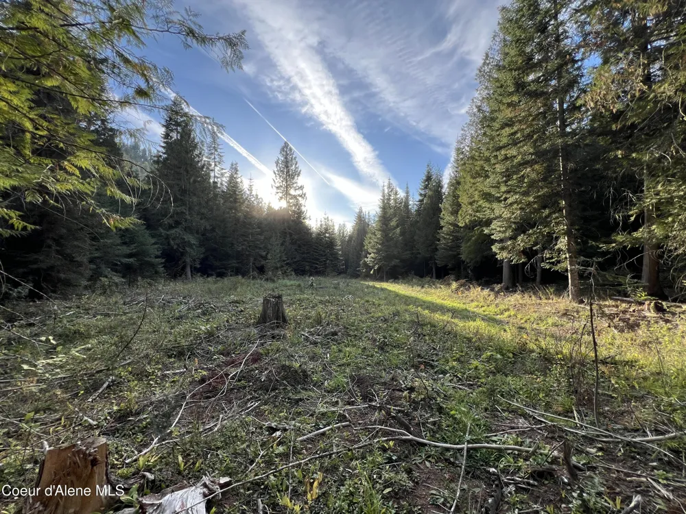 3579 Bear Creek Road Kingston, ID 83839