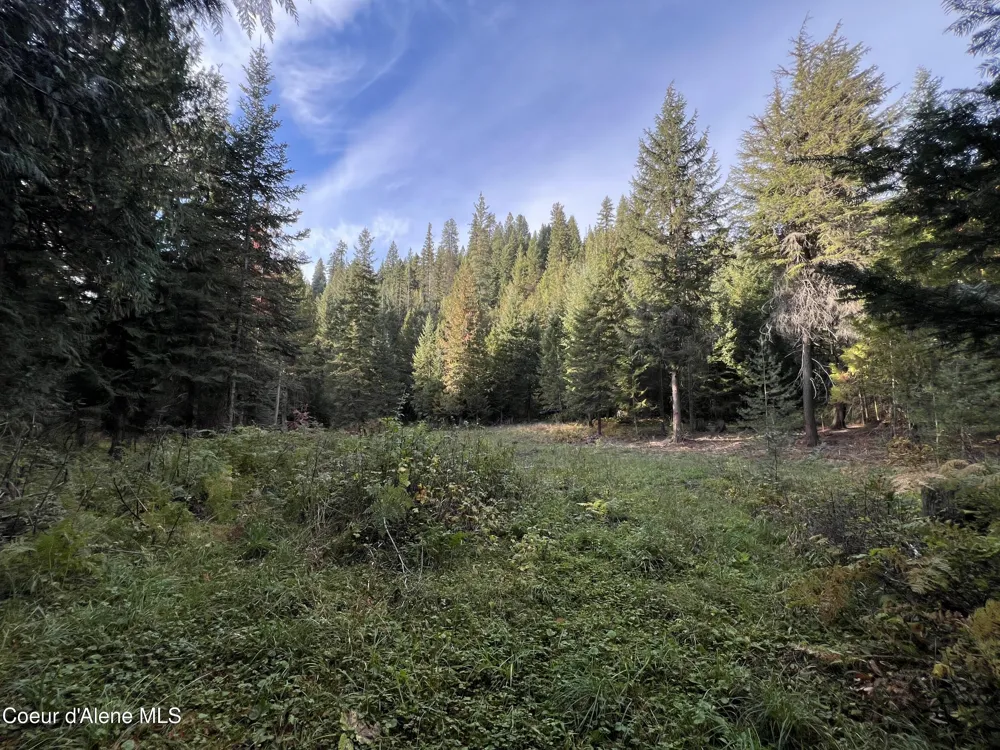3579 Bear Creek Road Kingston, ID 83839