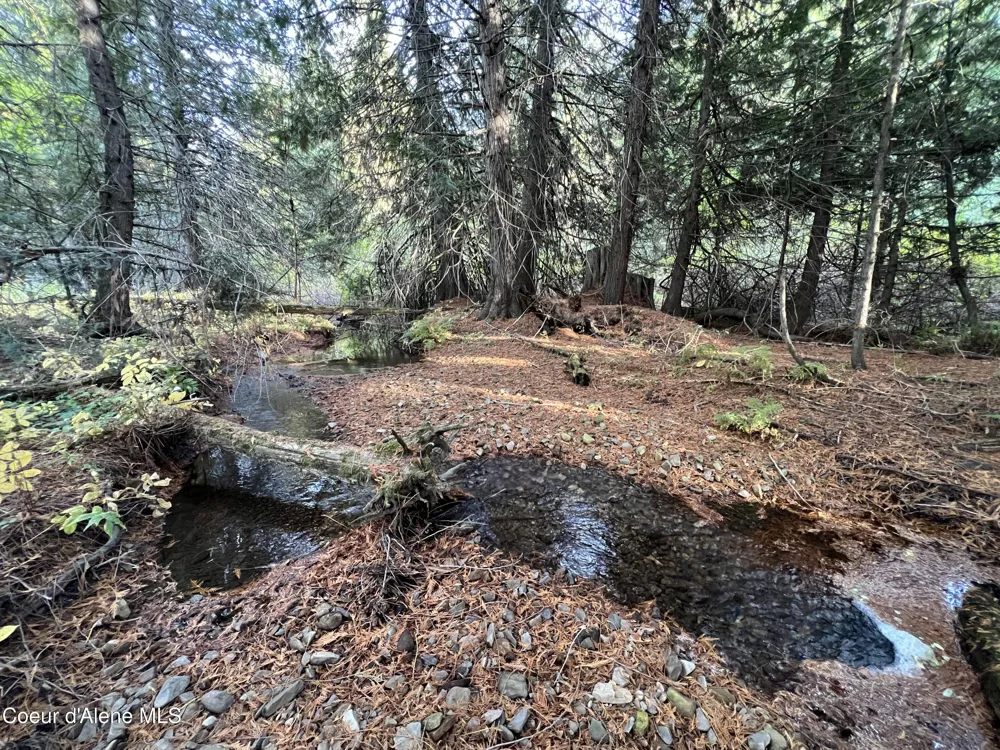 3579 Bear Creek Road Kingston, ID 83839