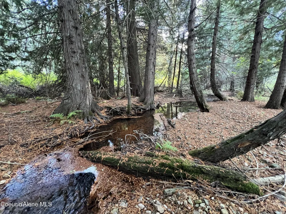 3579 Bear Creek Road Kingston, ID 83839