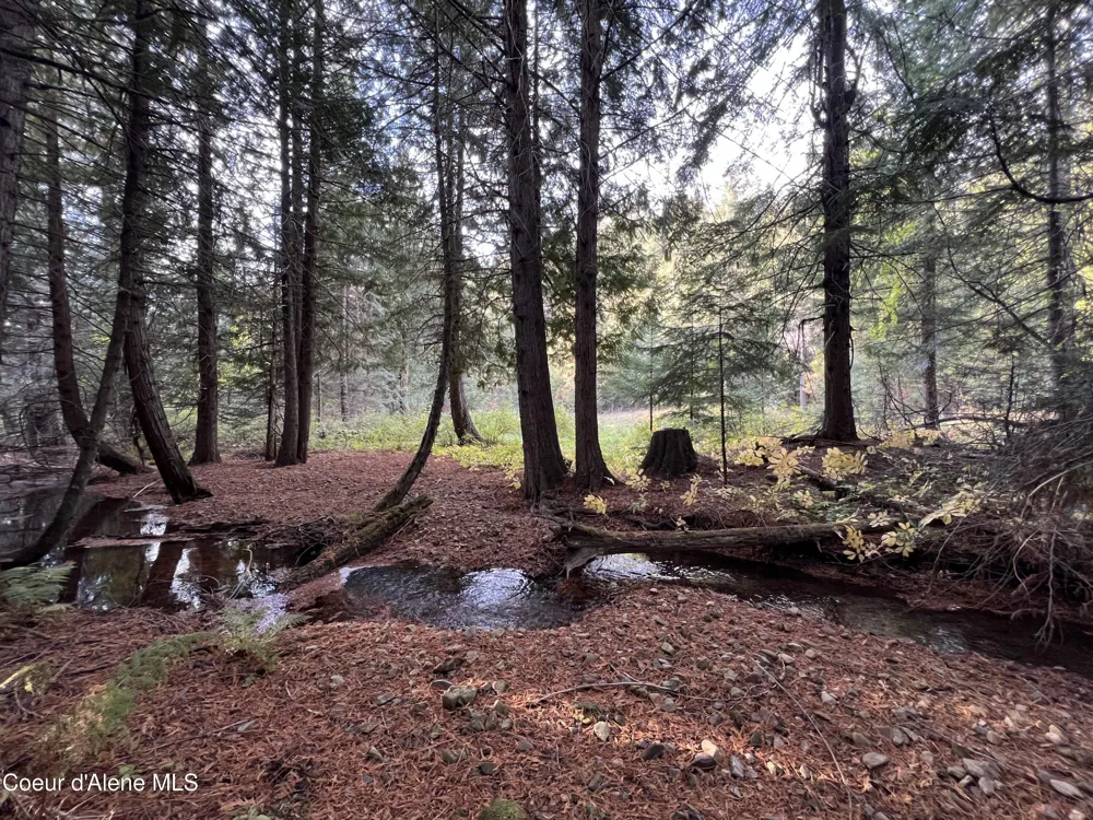 3579 Bear Creek Road Kingston, ID 83839