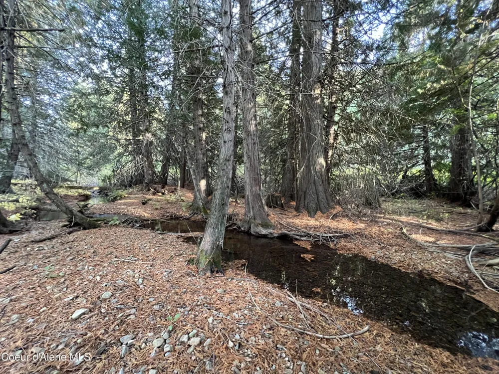 3579 Bear Creek Road Kingston, ID 83839