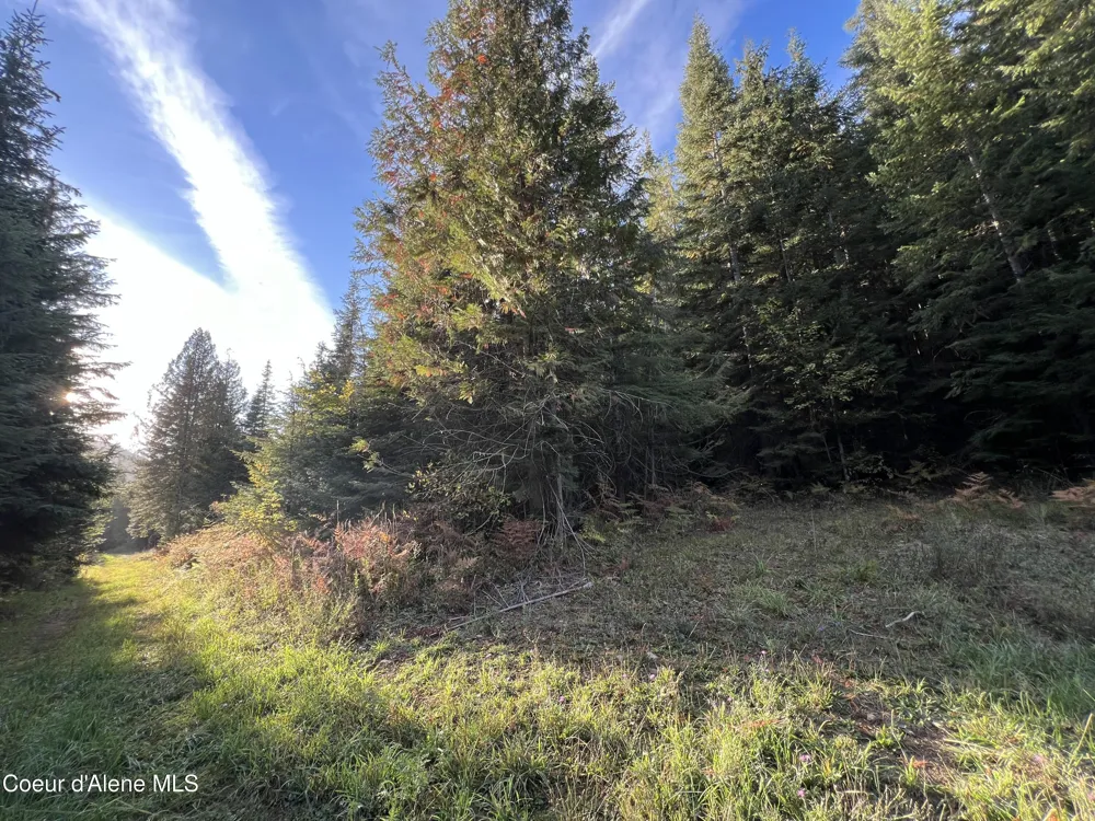 3579 Bear Creek Road Kingston, ID 83839