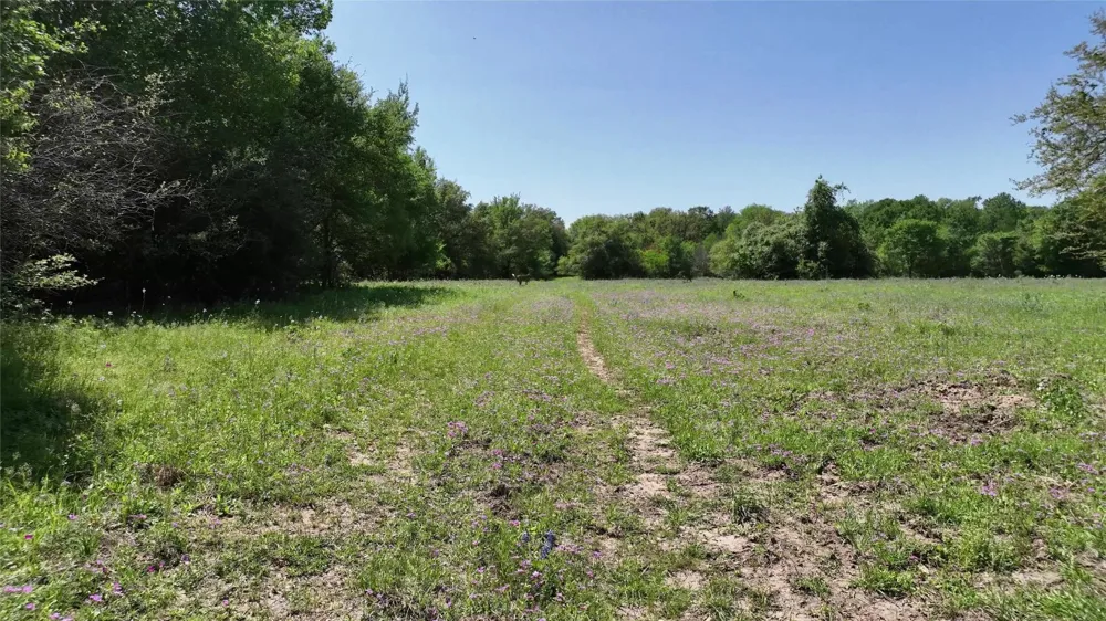 County Road 119 Ledbetter, TX 78946