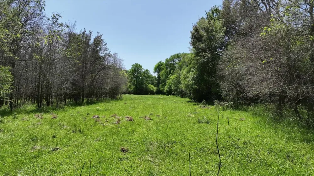County Road 119 Ledbetter, TX 78946