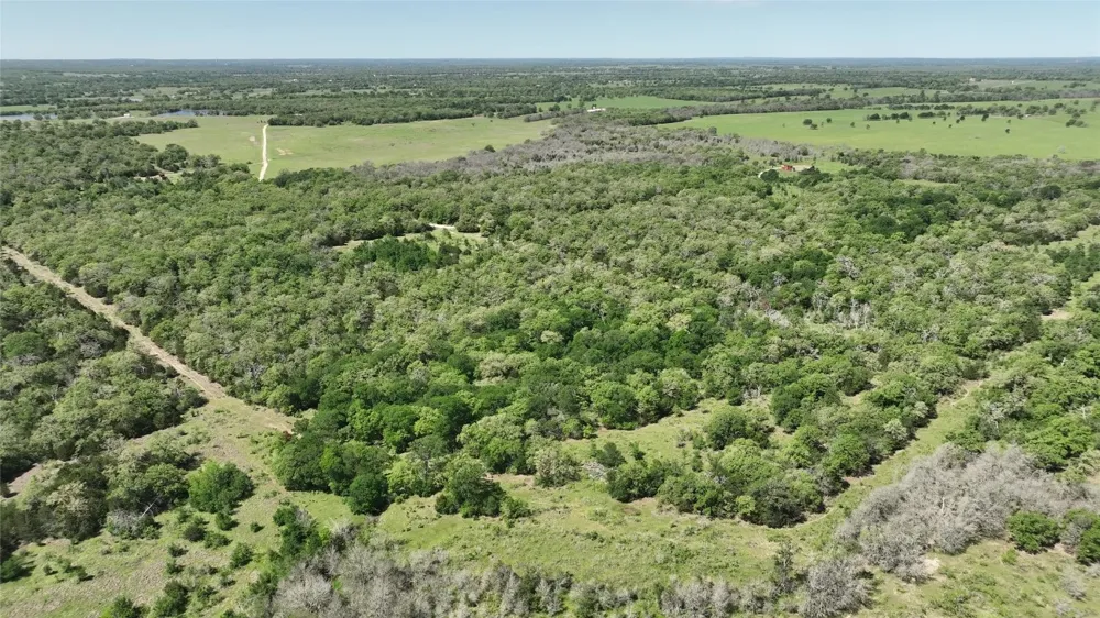 County Road 119 Ledbetter, TX 78946