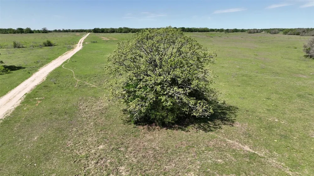 County Road 119 Ledbetter, TX 78946