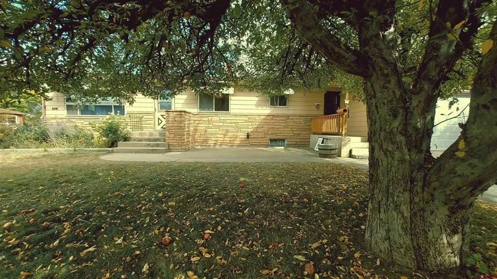 229 Colorado Ave Paonia, CO 81428