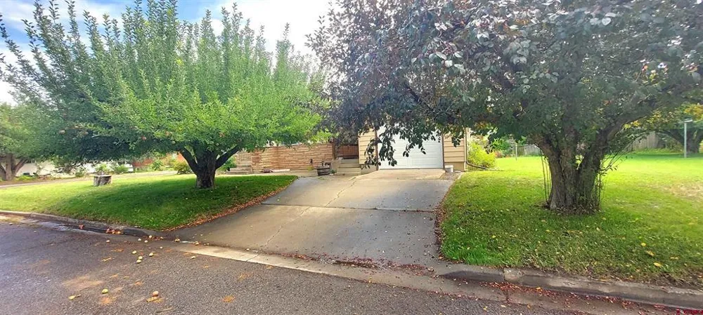 229 Colorado Ave Paonia, CO 81428